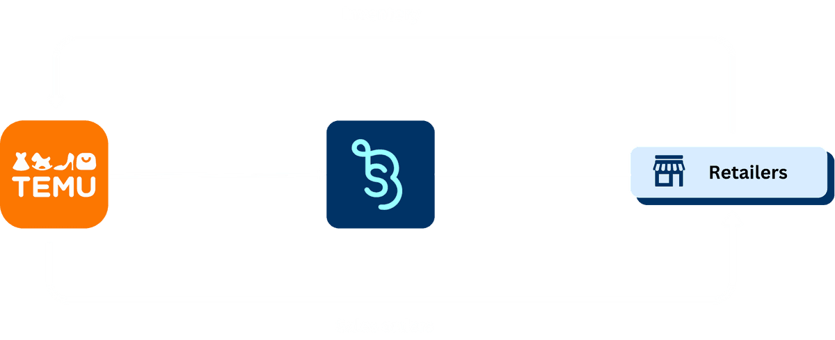 Temu case study diagram
